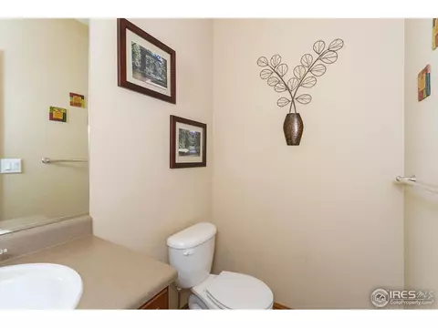 610 Colney Ct, Windsor, CO 80550 photo 11