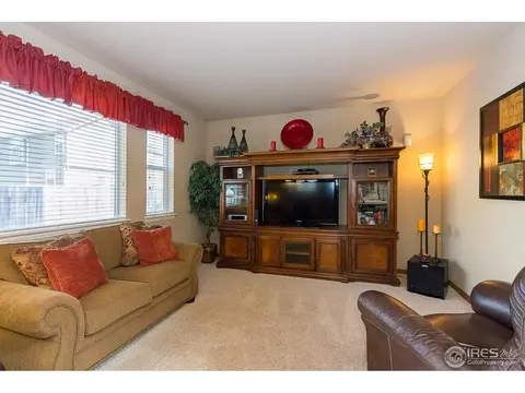 610 Colney Ct, Windsor, CO 80550 photo 4