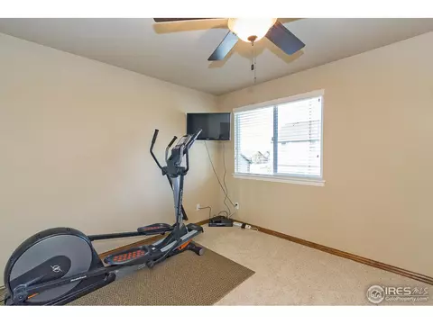 610 Colney Ct, Windsor, CO 80550 photo 22