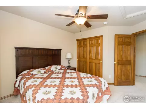 610 Colney Ct, Windsor, CO 80550 photo 17