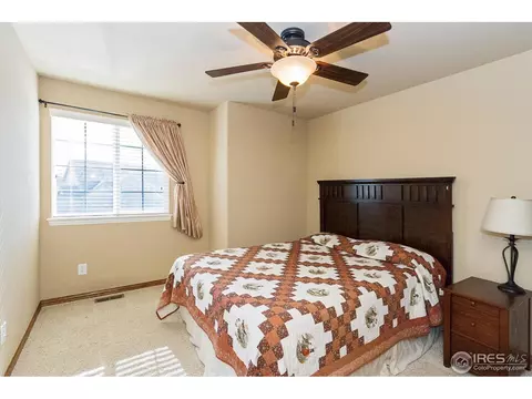 610 Colney Ct, Windsor, CO 80550 photo 18