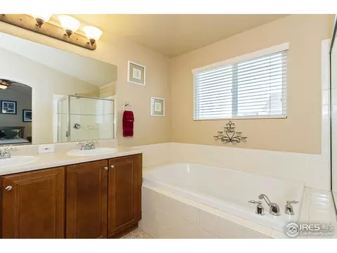 610 Colney Ct, Windsor, CO 80550 photo 15