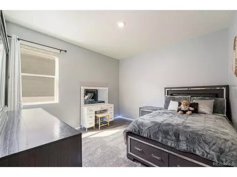 7119 Caleb Ave, Frederick, CO 80530 photo 19
