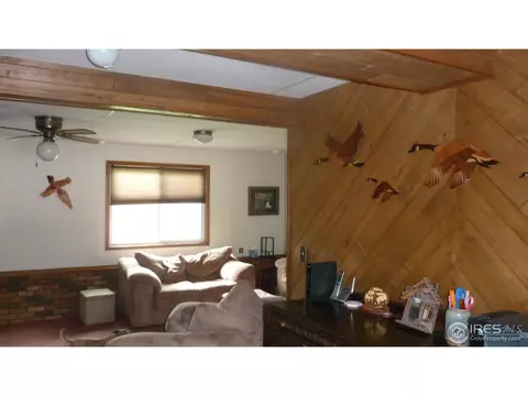 972 Larch Dr, Windsor, CO 80550 photo 7