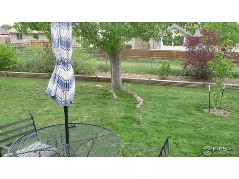 972 Larch Dr, Windsor, CO 80550 photo 5