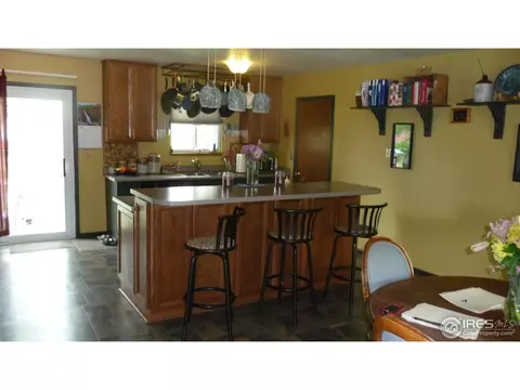 972 Larch Dr, Windsor, CO 80550 photo 3