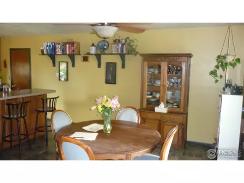 972 Larch Dr, Windsor, CO 80550 photo 2
