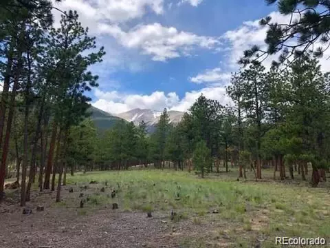 16805 Pine Grove Pkwy, Buena Vista, CO 81211
