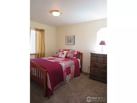 1108 Alpine Ct, Windsor, CO 80550 photo 8