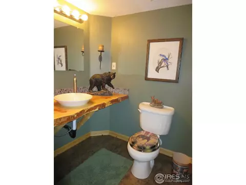 1108 Alpine Ct, Windsor, CO 80550 photo 12