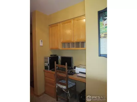 1108 Alpine Ct, Windsor, CO 80550 photo 5