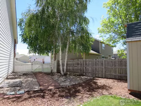 1108 Alpine Ct, Windsor, CO 80550 photo 16