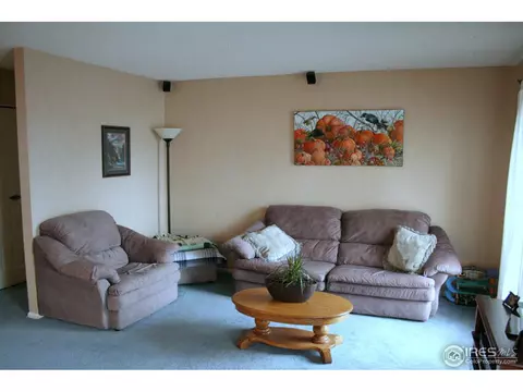 4472 S Beech Way, Morrison, CO 80465 photo 6
