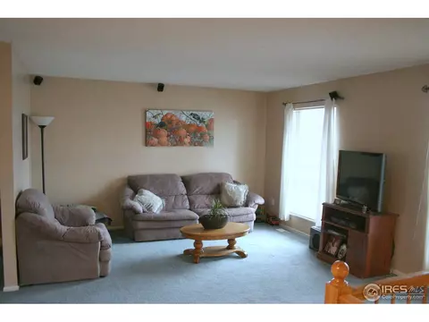 4472 S Beech Way, Morrison, CO 80465 photo 3