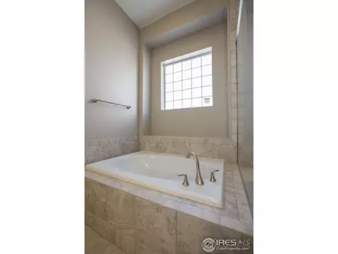 5513 Evangeline Dr, Windsor, CO 80550 photo 21