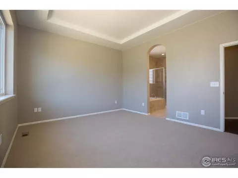 5513 Evangeline Dr, Windsor, CO 80550 photo 18