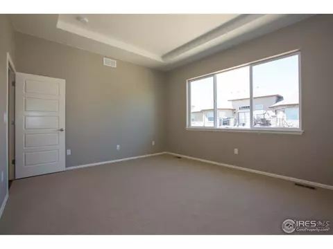 5513 Evangeline Dr, Windsor, CO 80550 photo 19