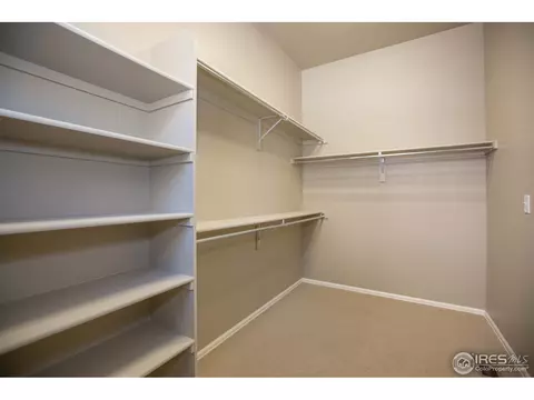 5513 Evangeline Dr, Windsor, CO 80550 photo 24