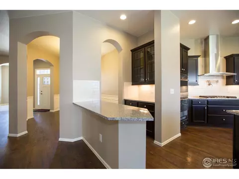 5513 Evangeline Dr, Windsor, CO 80550 photo 9