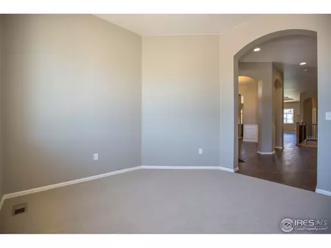 5513 Evangeline Dr, Windsor, CO 80550 photo 16