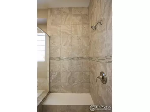 5513 Evangeline Dr, Windsor, CO 80550 photo 22