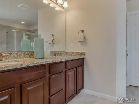 6782 Spring Rain Rd, Timnath, CO 80547 photo 14