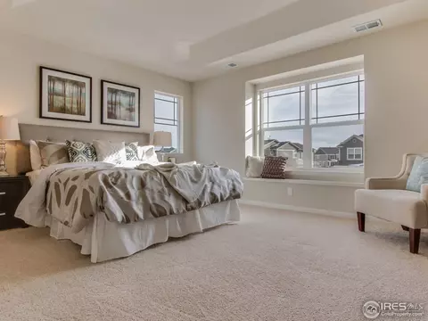 6782 Spring Rain Rd, Timnath, CO 80547 photo 13