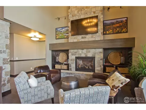 6782 Spring Rain Rd, Timnath, CO 80547 photo 22