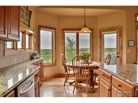 7047 Aladar Dr, Windsor, CO 80550 photo 10