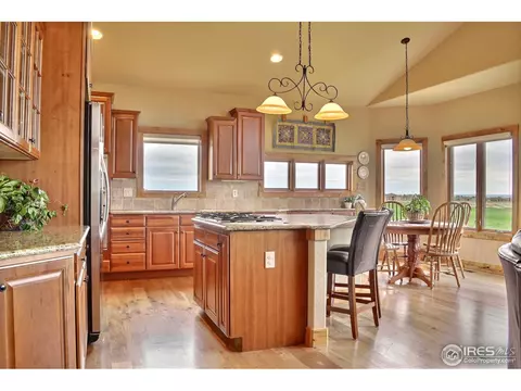 7047 Aladar Dr, Windsor, CO 80550 photo 7