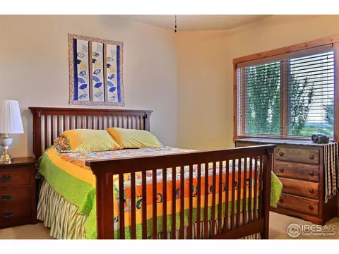 7047 Aladar Dr, Windsor, CO 80550 photo 21