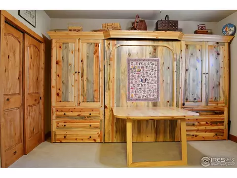 7047 Aladar Dr, Windsor, CO 80550 photo 18