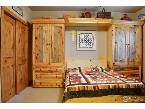 7047 Aladar Dr, Windsor, CO 80550 photo 17