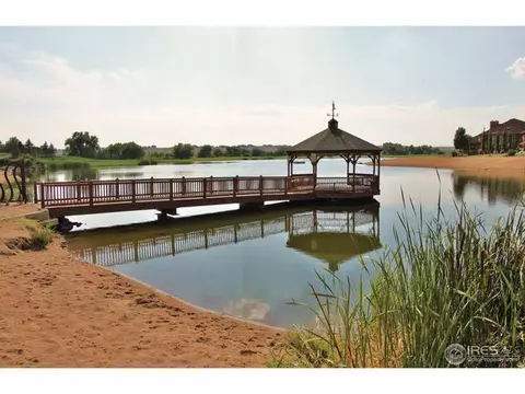 1910 Seadrift Dr, Windsor, CO 80550 photo 22