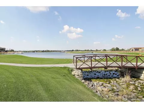 1910 Seadrift Dr, Windsor, CO 80550 photo 20