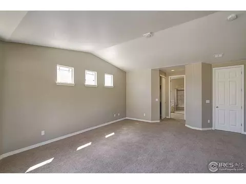 1910 Seadrift Dr, Windsor, CO 80550 photo 11