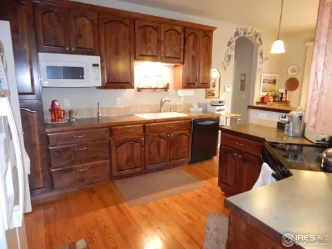 1418 Red Fox Cir, Severance, CO 80550 photo 7