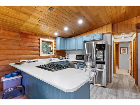 95 Sioux Trl, Pine, CO 80470 photo 8