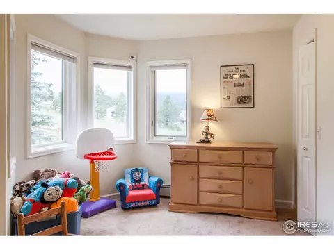 249 Estes Park Estates Dr, Lyons, CO 80540 photo 12