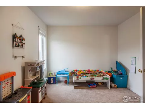 249 Estes Park Estates Dr, Lyons, CO 80540 photo 17