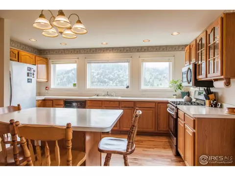 249 Estes Park Estates Dr, Lyons, CO 80540 photo 9