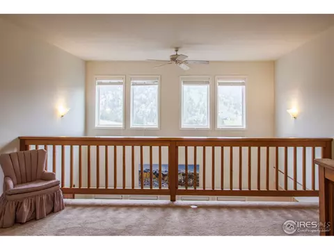 249 Estes Park Estates Dr, Lyons, CO 80540 photo 14