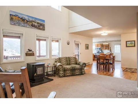 249 Estes Park Estates Dr, Lyons, CO 80540 photo 4