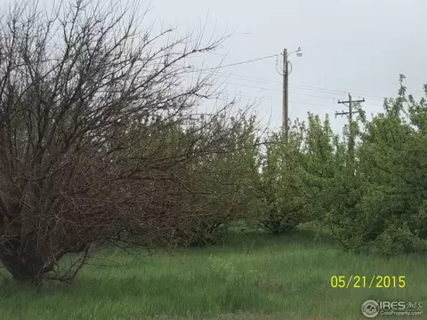 9827 Highway 52, Wiggins, CO 80654 photo 11