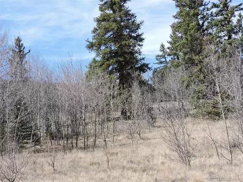 815 Nez Perce Rd, Como, CO 80432 photo 11