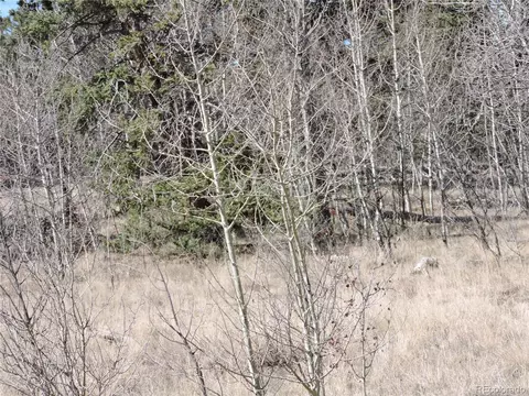 815 Nez Perce Rd, Como, CO 80432 photo 17