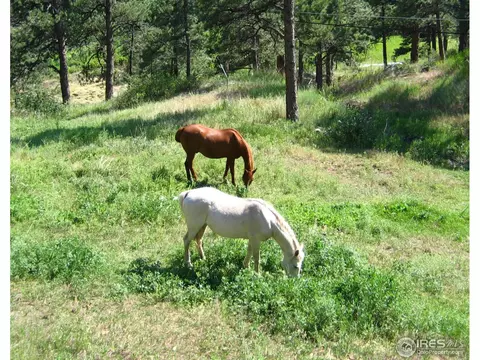 365 Lion Pt, Boulder, CO 80302 photo 14