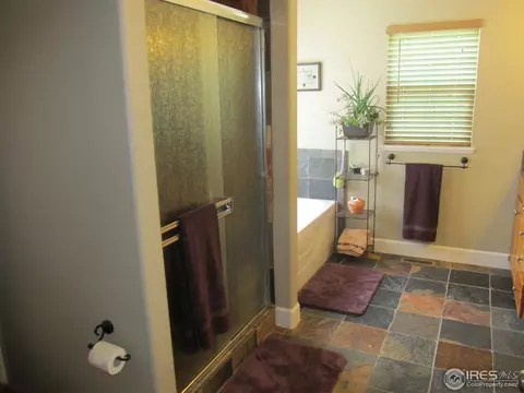 1042 Grand Ave, Windsor, CO 80550 photo 13