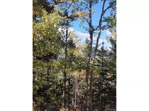 lot5374 Fort, Garland, CO 81133