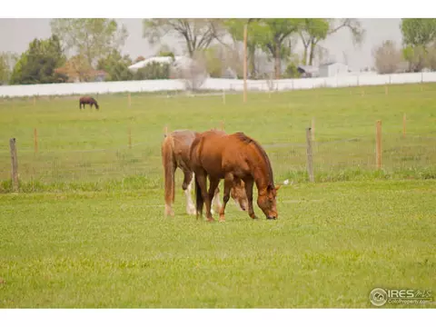 35325 Cornerstone Way, Windsor, CO 80550 photo 6